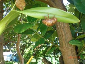 �x�ٓ��̂��m�点